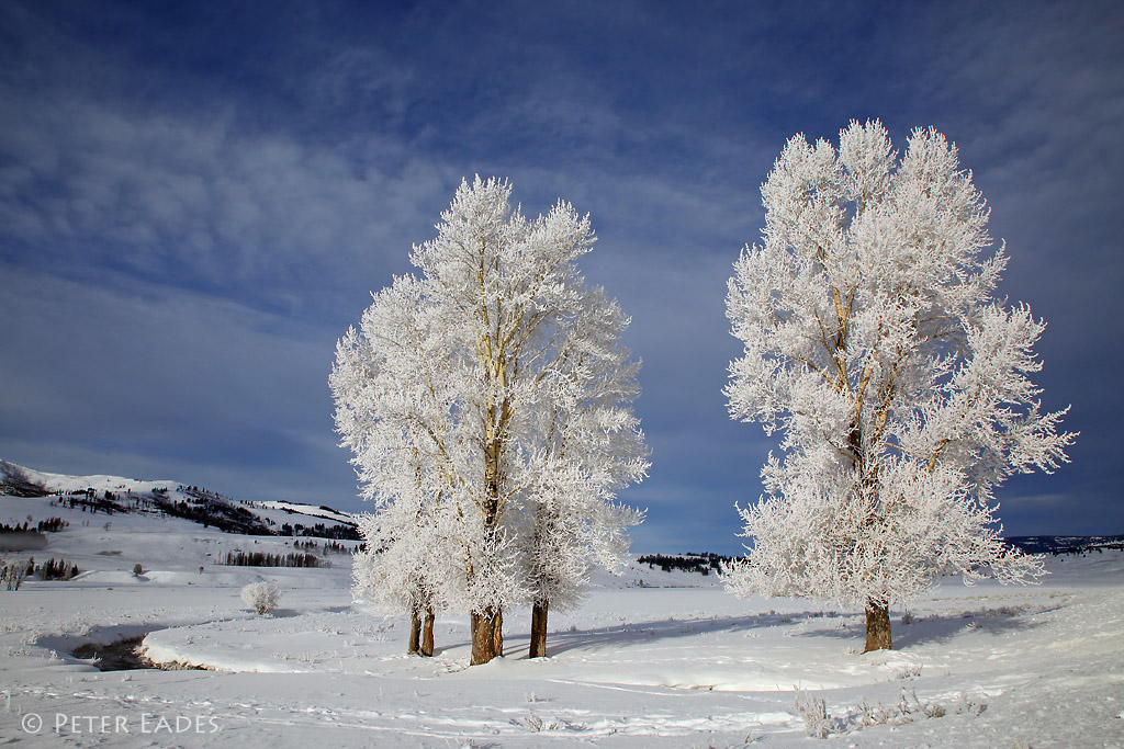 PEADES IMG_8128