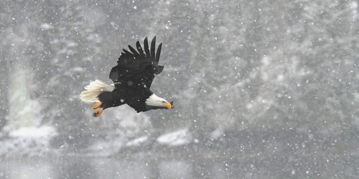 More from Alaska