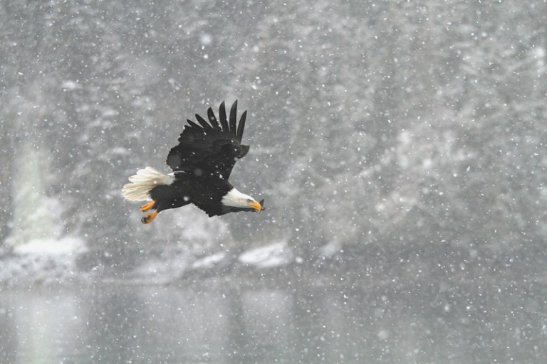 More from Alaska