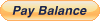 btn_pay-balance