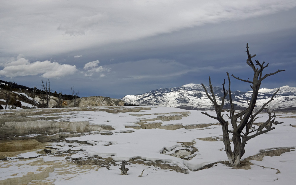 Cindi Probst Mammoth Terraces