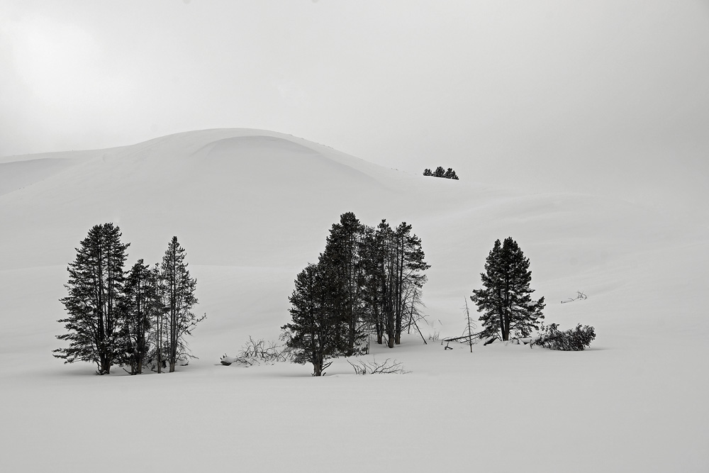 Cindi Probst Snow dune and trees