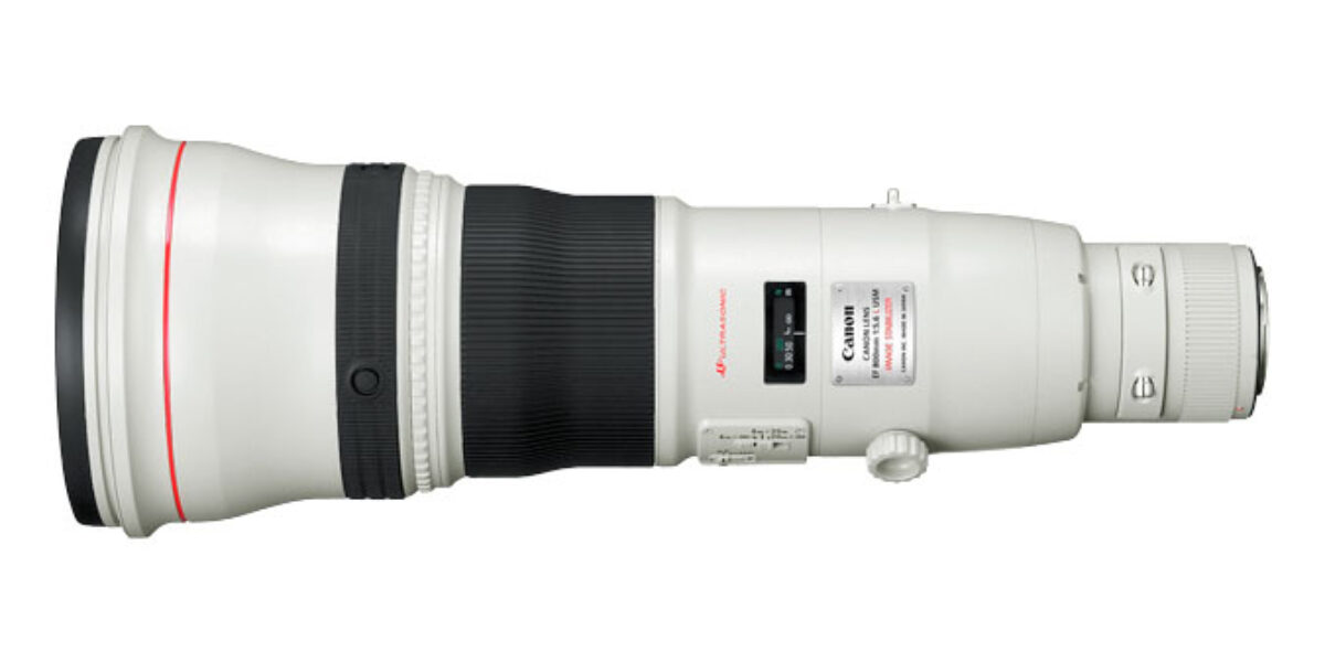 Canon EF800mm F5.6L IS   Great lens…Sometimes!