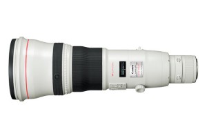 Canon EF800mm F5.6L IS   Great lens…Sometimes!