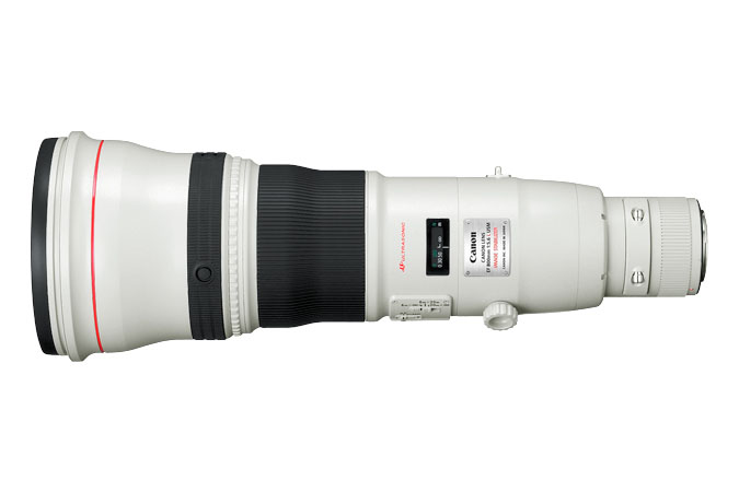 Canon EF800mm F5.6L IS   Great lens…Sometimes!