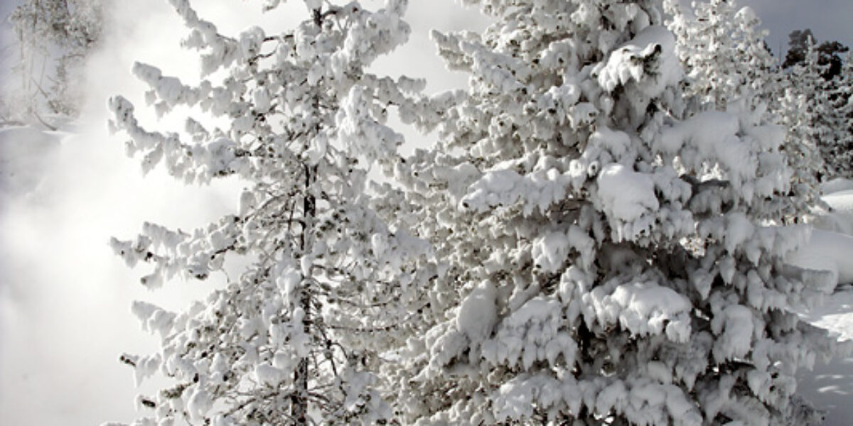 Winter in Yellowstone