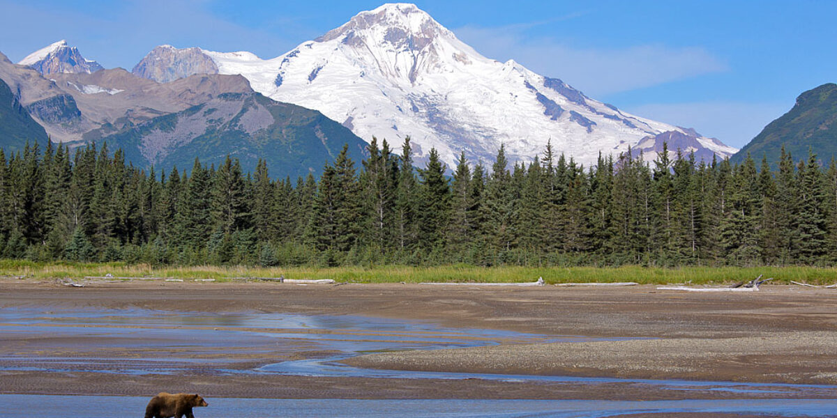 Returned from Alaska