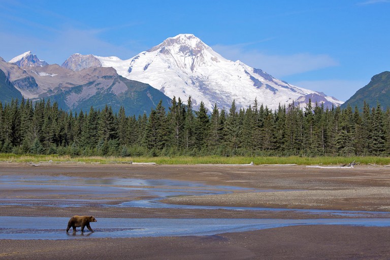 Returned from Alaska