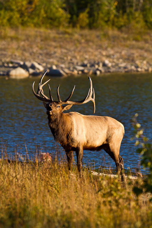 Jasper National Park (trip report)