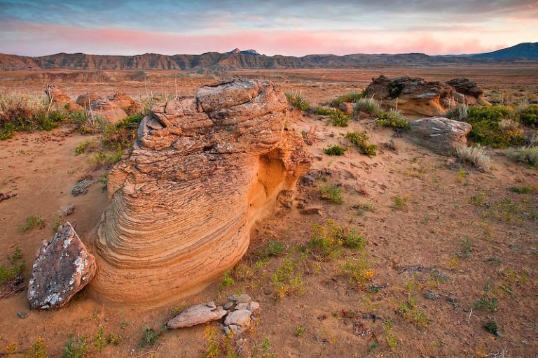 Nature Photography Close to Home